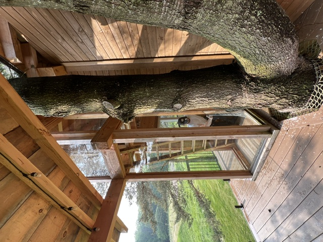 C&N Window Cleaning residential window cleaning results in Durham Region